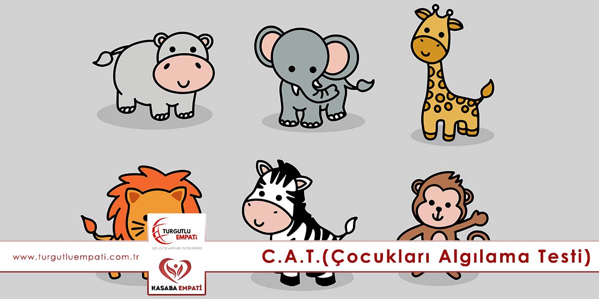 C.A.T. (Çocukları Algılama Testi)