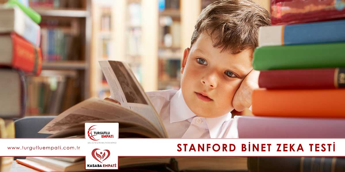 Manisa Stanford Binet Zeka Testi