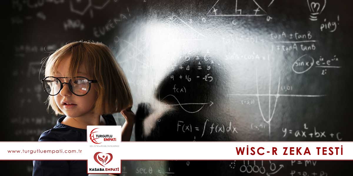 Wisc-R Zeka Testi
